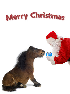 http://images.equinecompare.co.uk.s3.amazonaws.com/ecards/xmas/santaTreatHorse.jpg